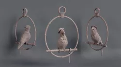 Barker Bird