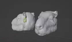 Capybara head for Mythic Legions 1.0 and 2.0