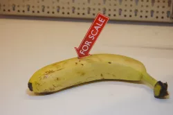Little "For Scale" Sign