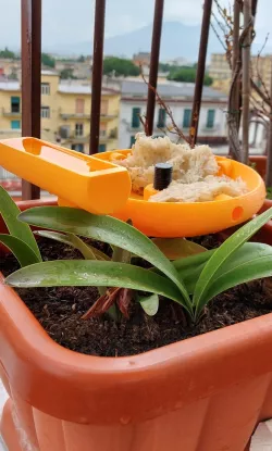 Modular Birds Feeder for Plant Pots