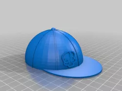 cap wyze cam V3