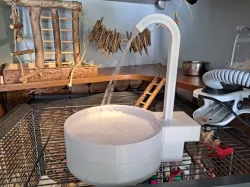 Fountain Bird Bath