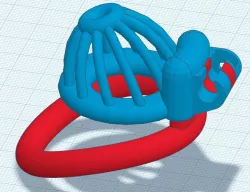 Tight cage with antomic ring and stealh-lock