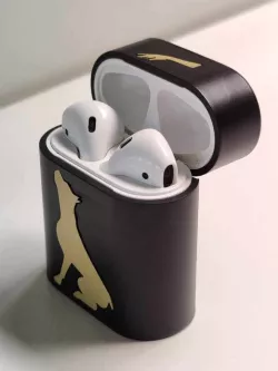 Apple AirPods case