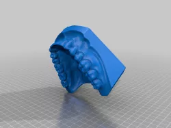 Human Teeth