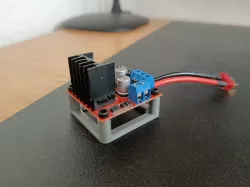 L298n basic mount