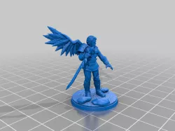 One winged warrior