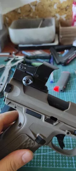 AAP01 ris sight mount