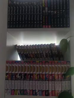 Bücher Podest (Kallax)