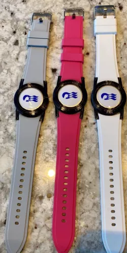 Princess Cruise Line Medallion Holder Watch