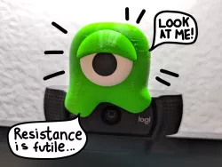 Webcam Leech