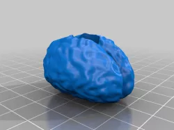 Brain Bead
