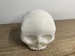 Skull box