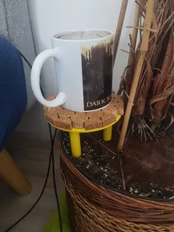  Small plant coffee table