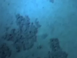 $1 3D Scan Prize: Challenger Deep, Marianas Trench