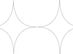 5 Petal / Scallop