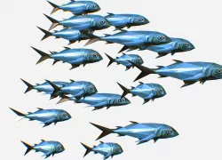 Animated Low Poly Art Flock Green Sea Fish Low-poly  3D model