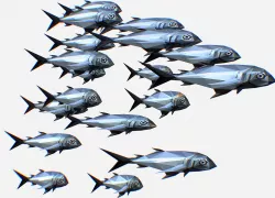 Animated Low Poly Art Flock Grey Sea Fish Low-poly  3D model