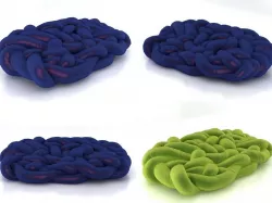 Boa 3D model