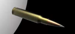 Cal.308