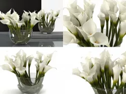 Calla Lily 3D model
