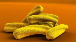 Chips cheese puffs