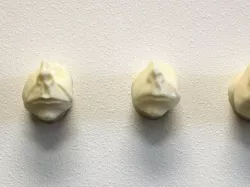 Clone Degradation Experiment