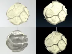 Cloud 3D model