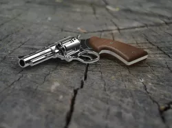 Colt Python 357 Magnum