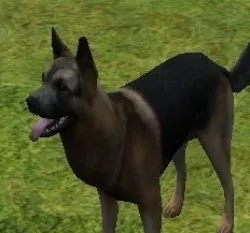 Dog model 3D model