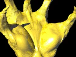 Dragon's Claw v.2
