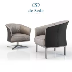 DS-291 3D model