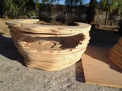 Empty Turtle Shell