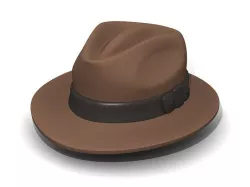 Fedora 3D model