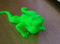 Flippy the Frog