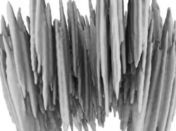 Fractal Grass