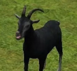 goat model 3D model
