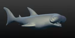 hammerhead shark 3D model