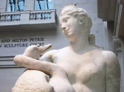 Leda and the Swan