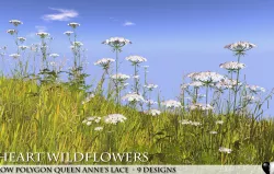 Low Polygon 3D Queen Anne Lace Flowers for Games  Low-poly  3D model