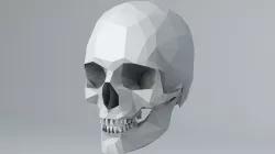 Lowpoly Human Skull Low-poly  3D model