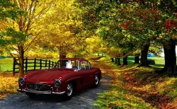 Mercedes Benz 300 SL 1950 Gullwing