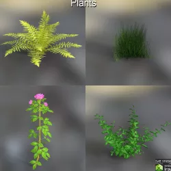 Plants 3D model
