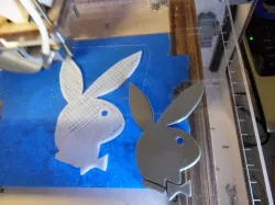 Playboy bunny