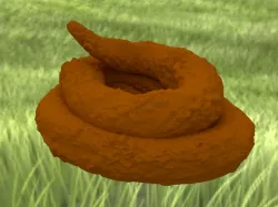Poop