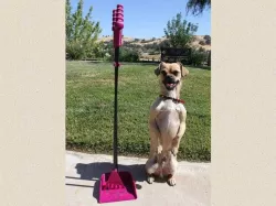Pooper Scooper