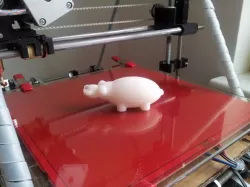 printable Hippo
