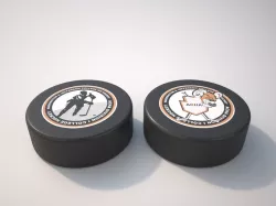 Puck sportball 3D model