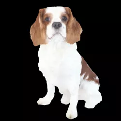 Puppy Brown 3D model