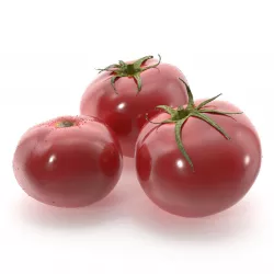Red tomatoes with drops of water Low-poly  3D model